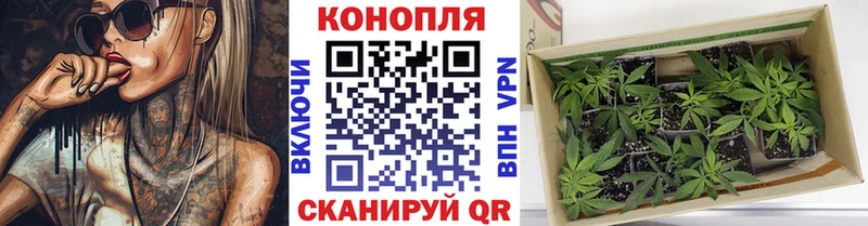 Где купить наркотики Грязи АМФЕТАМИН  A-PVP  КОКАИН  Мефедрон  Марихуана  ГАШИШ 