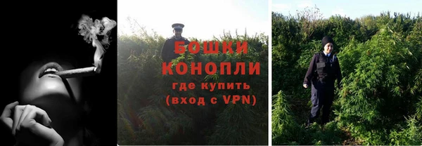 эйфоретик Сосновый Бор