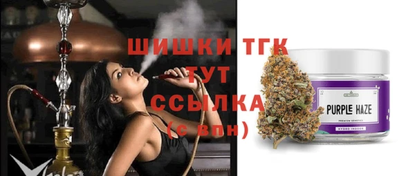 гидра Алзамай