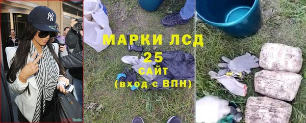 гидра Алзамай