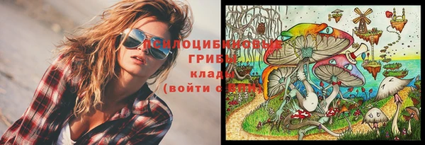гидра Алзамай