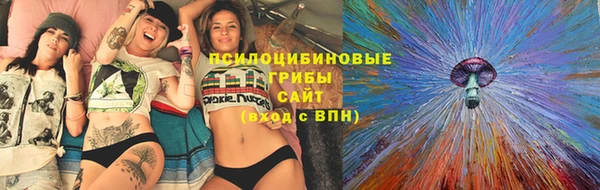 гидра Сосновка